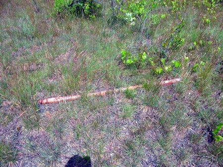 Auto Theatre - Speaker Pole - Photo From Water Winter Wonderland (newer photo)